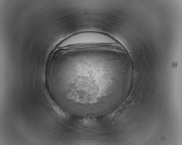 X0000096960345200802151241