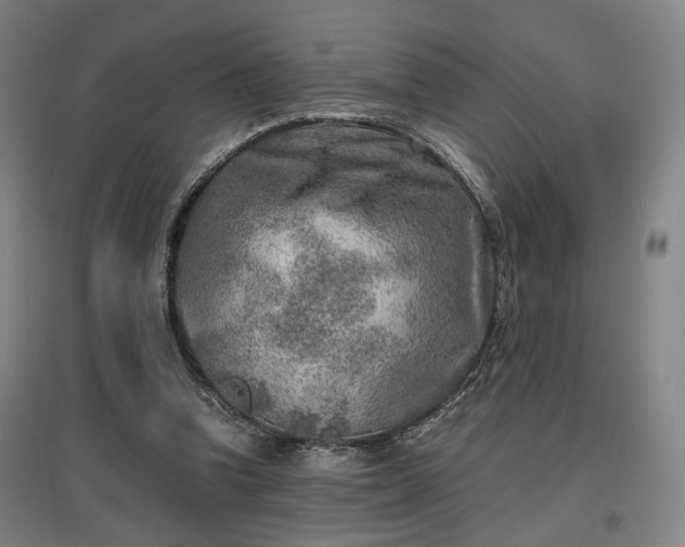 X0000096960346200802151241