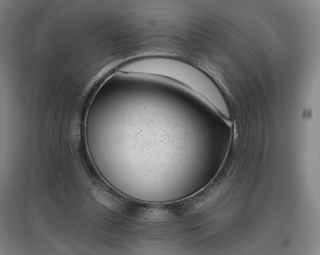 X0000096960348200802151241