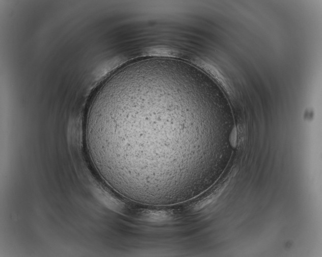 X0000096960349200802151241