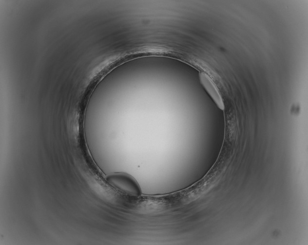 X0000096960350200802151241