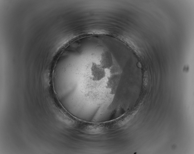 X0000096960351200802151241