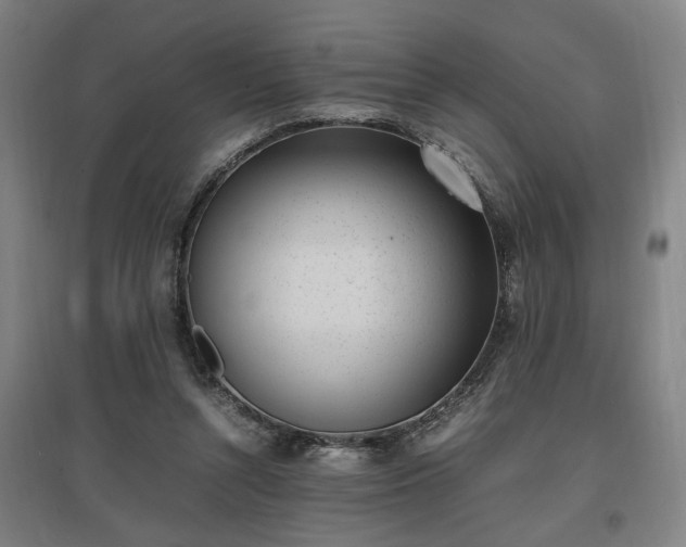 X0000096960352200802151241