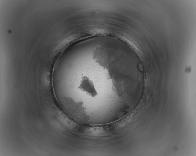 X0000096960353200802151241