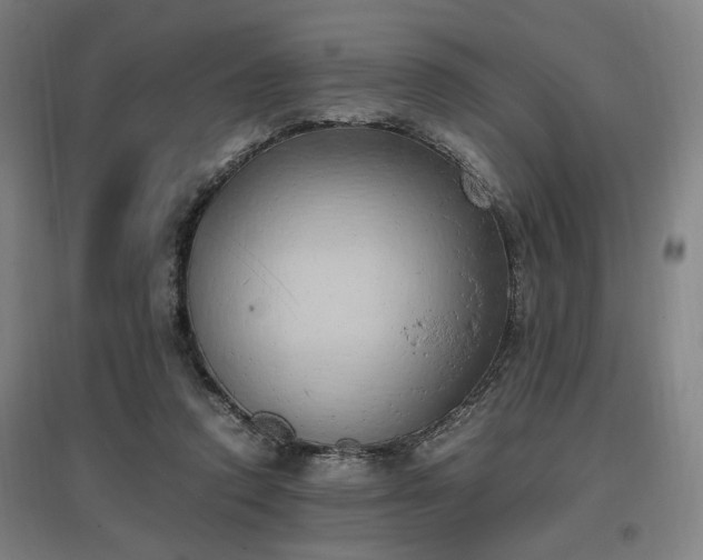 X0000096960354200802151241