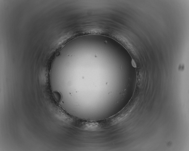 X0000096960355200802151241