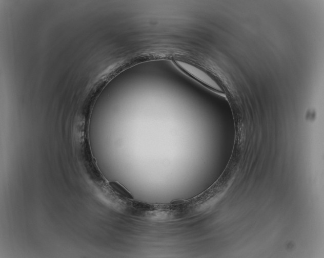 X0000096960356200802151241