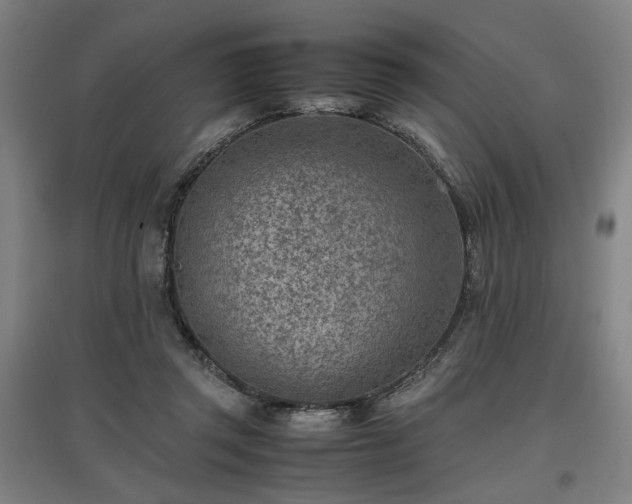 X0000096960357200802151241