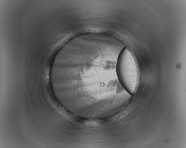 X0000096960358200802151241