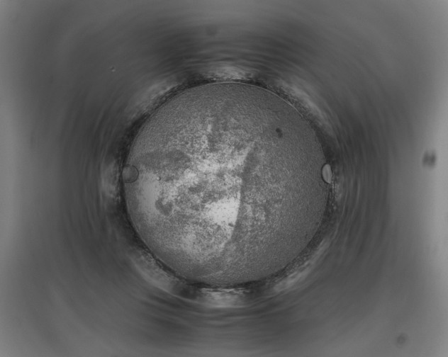 X0000096960359200802151241