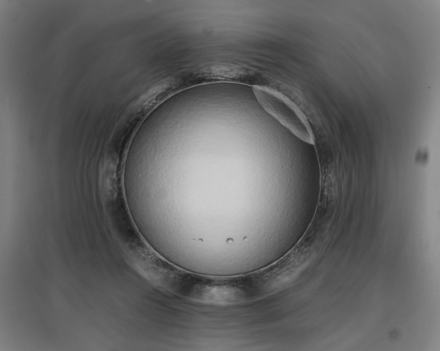 X0000096960360200802151241