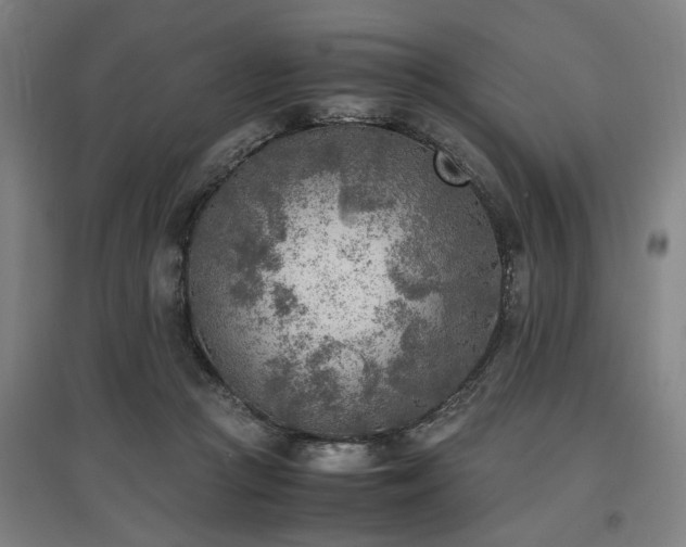 X0000096960361200802151241