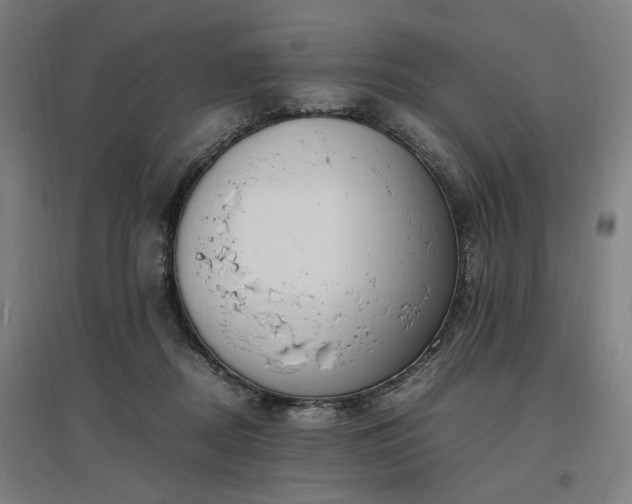 X0000096960362200802151241