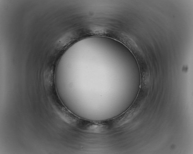 X0000096960364200802151241