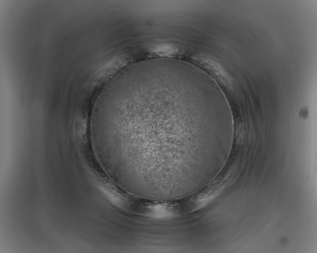 X0000096960365200802151241