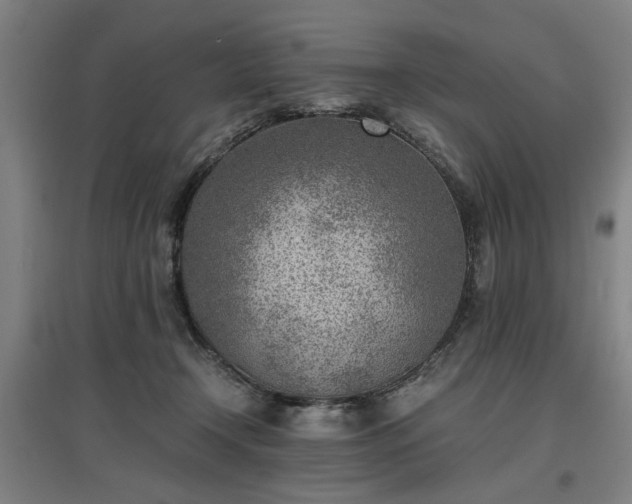 X0000096960366200802151241