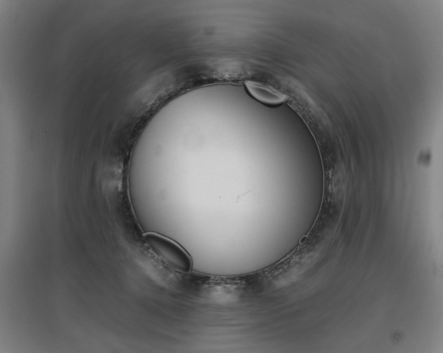 X0000096960368200802151241