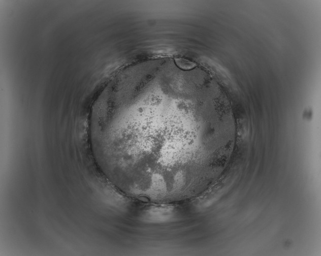 X0000096960369200802151241