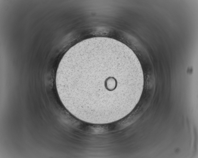 X0000096960370200802151241