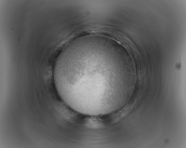 X0000096960372200802151241