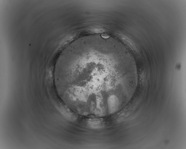 X0000096960373200802151241