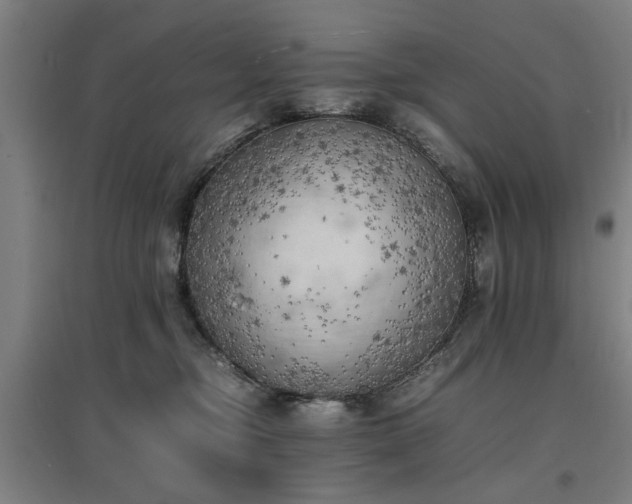 X0000096960374200802151241