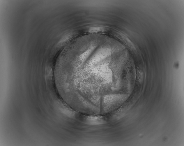 X0000096960375200802151241