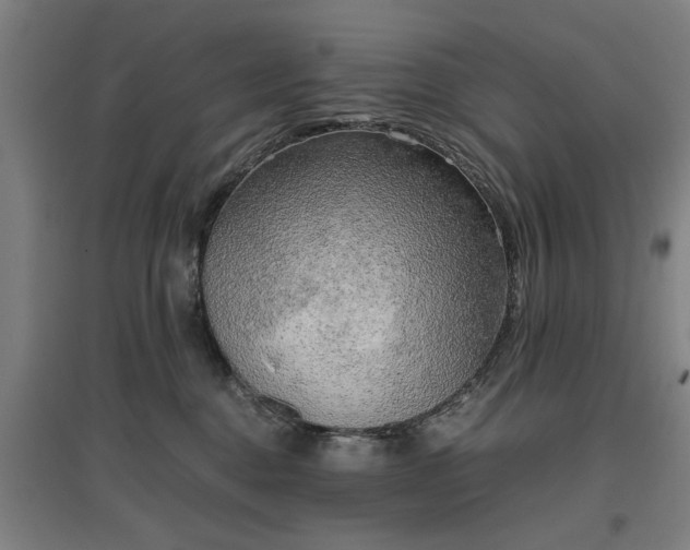 X0000096960376200802151241