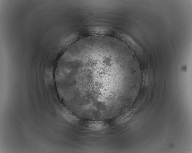 X0000096960377200802151241