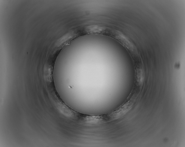 X0000096960378200802151241