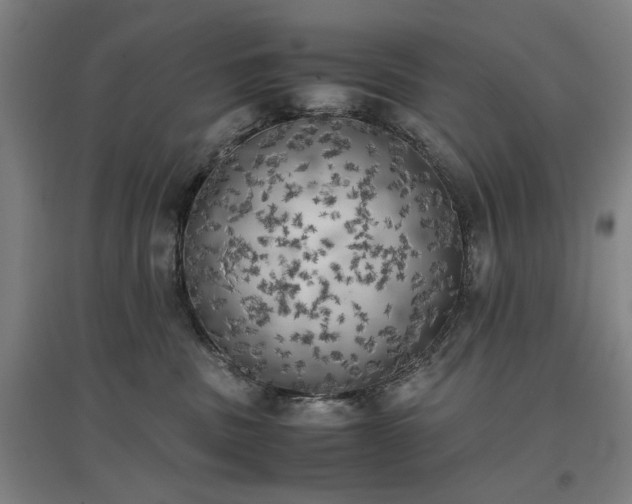 X0000096960379200802151241