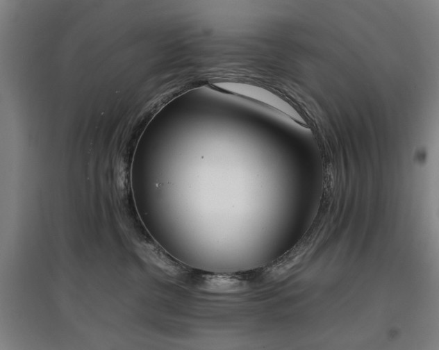 X0000096960380200802151241