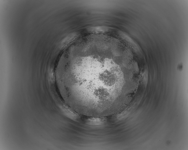 X0000096960381200802151241