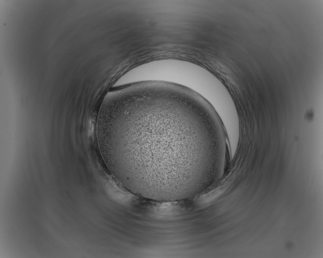 X0000096960382200802151241