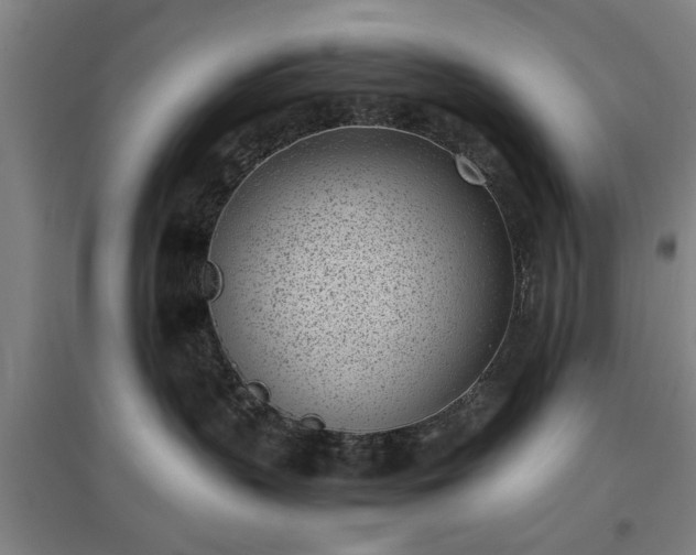 X0000096960383200802151241