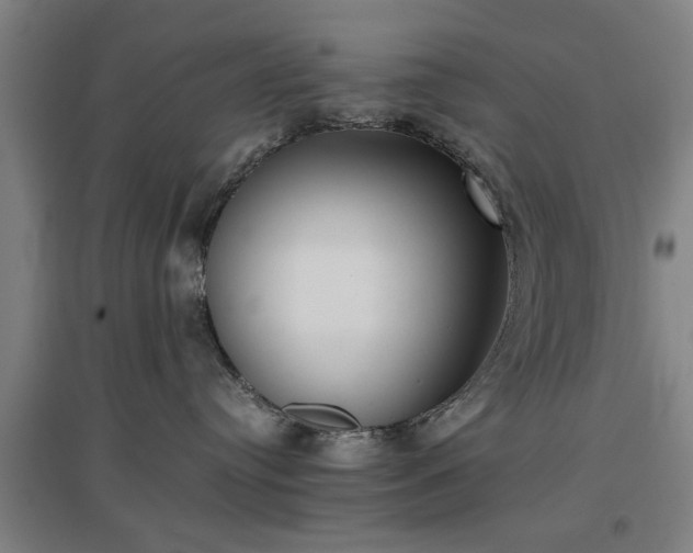 X0000096960384200802151241