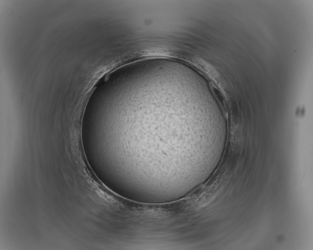 X0000096960385200802151241