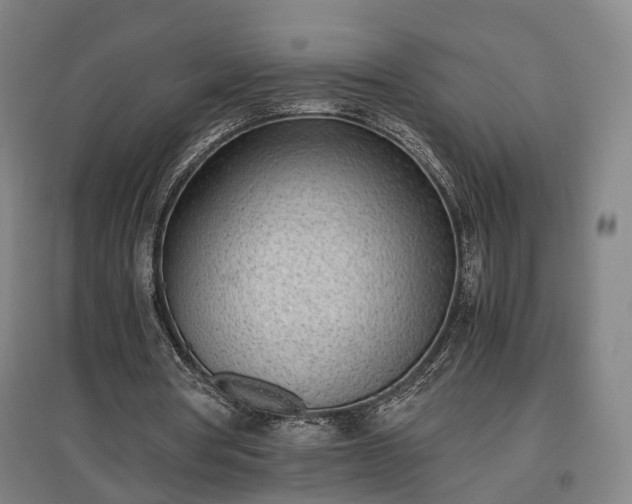 X0000096960386200802151241