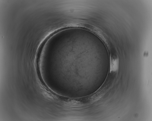 X0000096960387200802151241