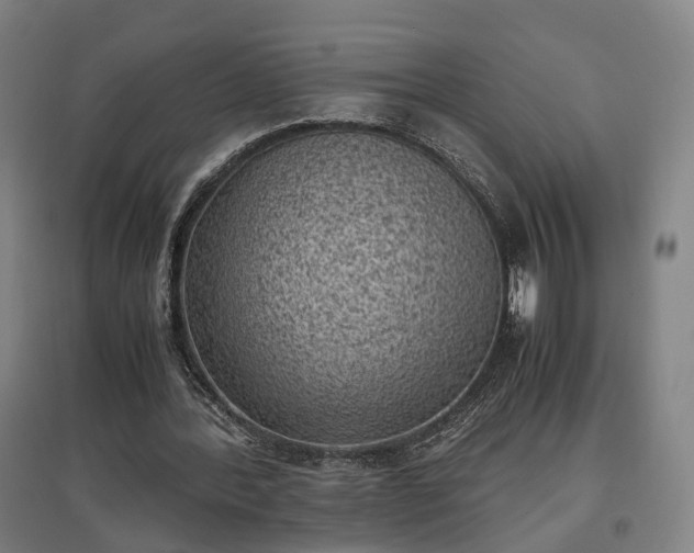 X0000096960388200802151241