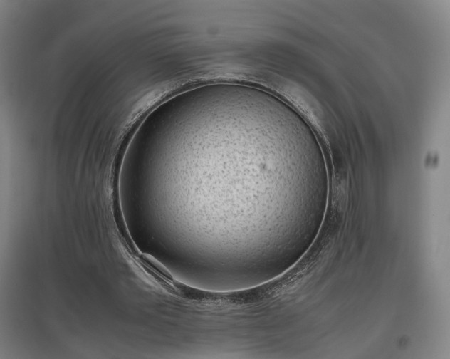 X0000096960389200802151241