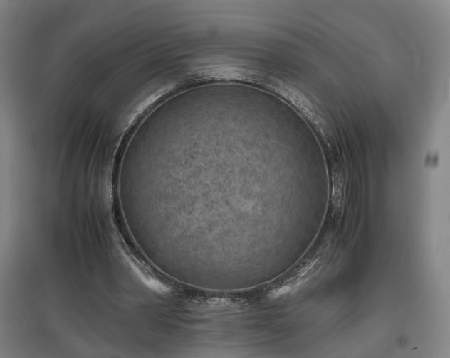 X0000096960390200802151241