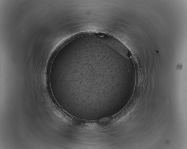 X0000096960391200802151241