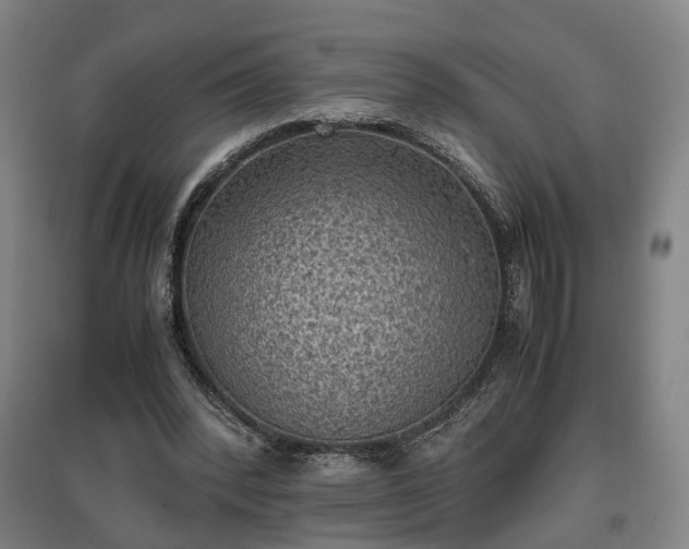 X0000096960392200802151241