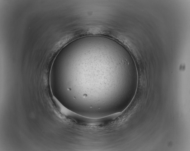 X0000096960393200802151240