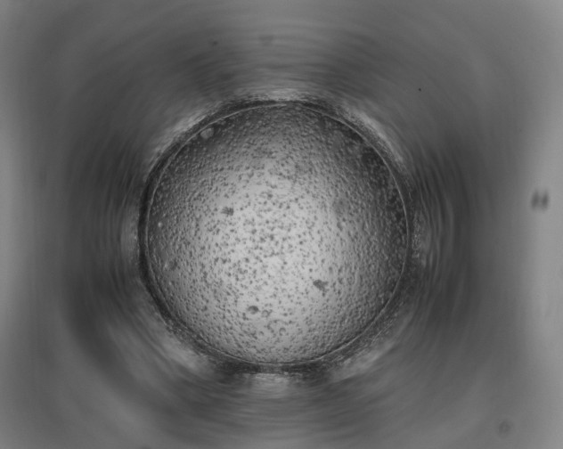 X0000096960394200802151240