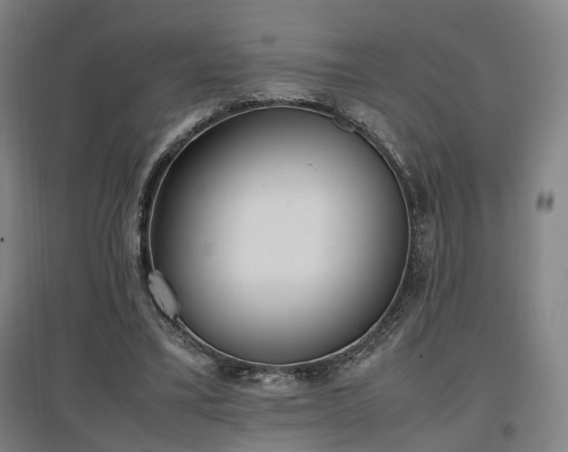 X0000096960395200802151240