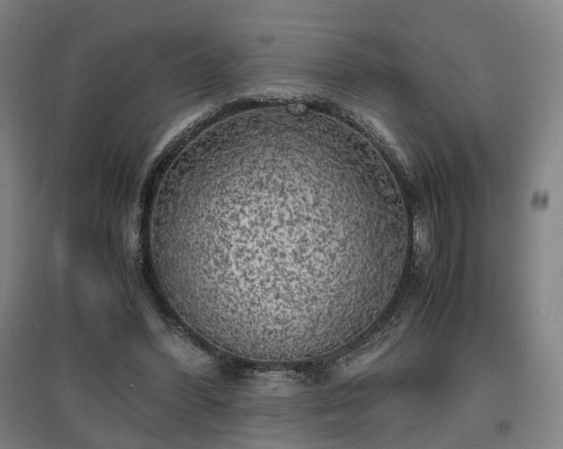 X0000096960396200802151240