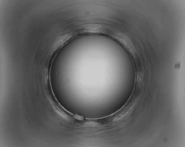 X0000096960397200802151240