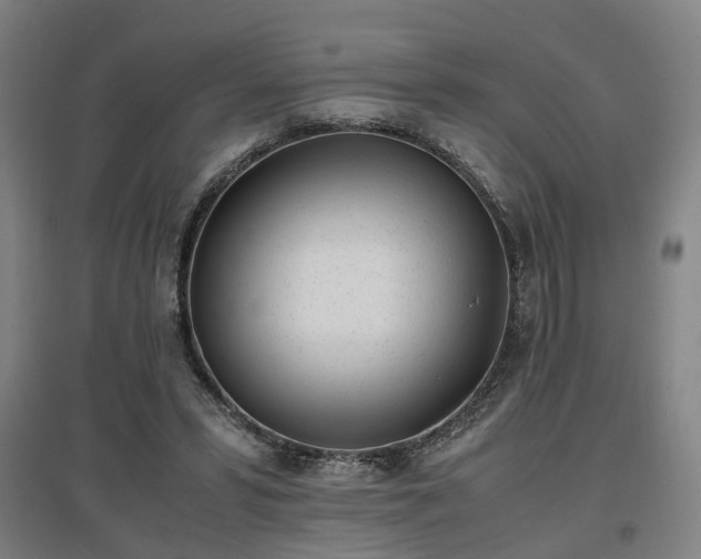 X0000096960399200802151240